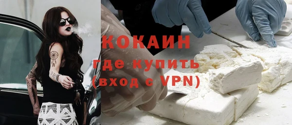молекула духа Козловка