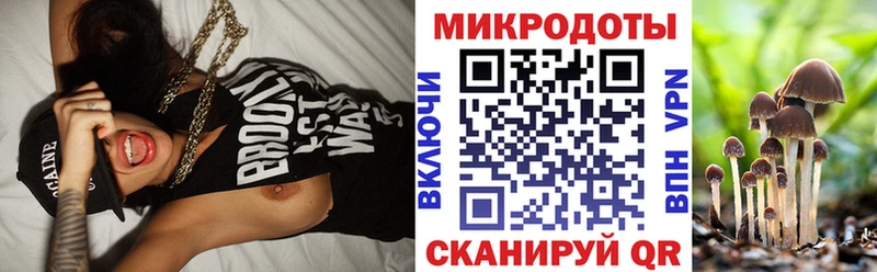 где найти   kraken зеркало  Галлюциногенные грибы Psilocybine cubensis  Узловая 