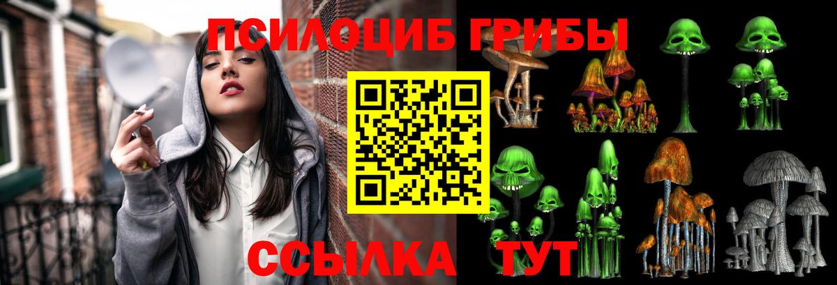 Узловая  Псилоцибиновые грибы прущие грибы  где купить наркоту  Вход с VPN 