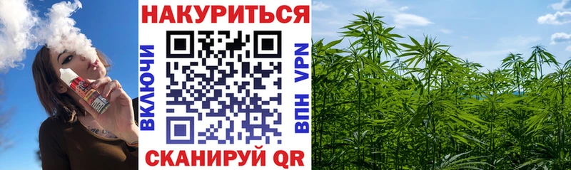 Шишки марихуана сатива Узловая